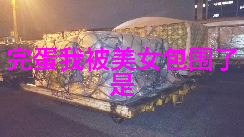 我应该如何调整自己的行为模式以适应她的需求和期望