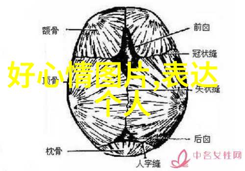 家庭团结通过共同制作来强化家庭关系的力量