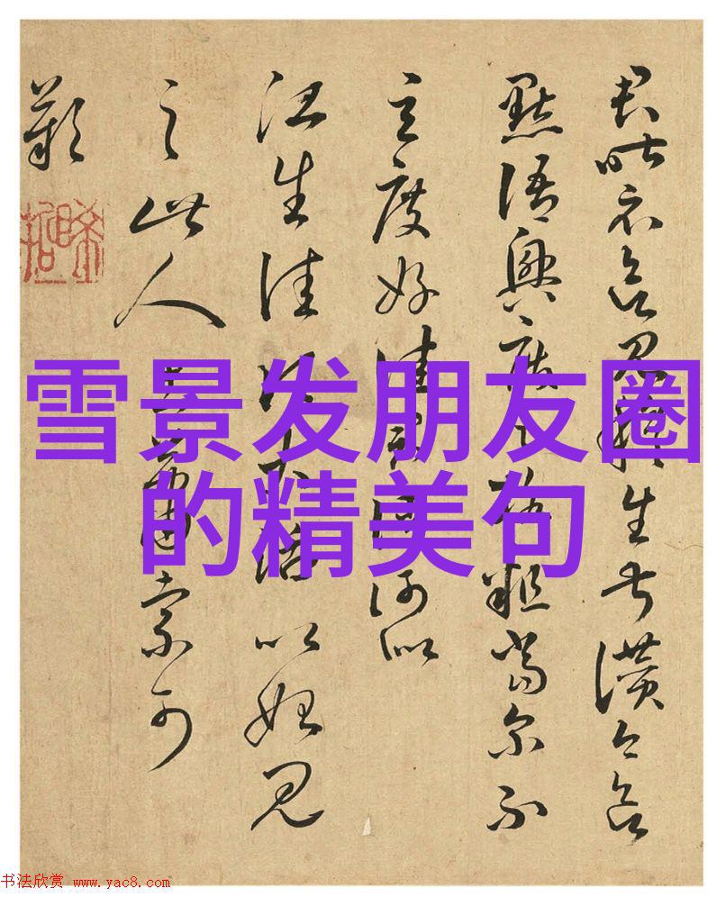 绽放的花朵她那不可思议的胸前世界