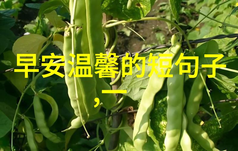 他的大手攀上我的珠峰我的心脏在颤抖