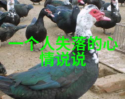 图片可爱萌萌哒我眼中的小动物世界那些让人心动的瞬间