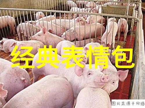 安意如思无邪心随风起舞的日子