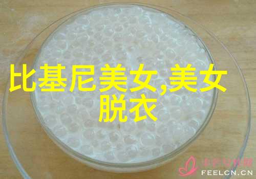 中国传统节日-春联与灯笼的舞动探索中华文化中的庆典艺术