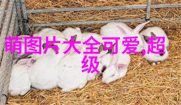 王俊凯重生之门像潜行狙击中的瞄准镜静静等待开播的那一刻冯文娟饰演的角色就像电视剧中闪耀的明星每个细节
