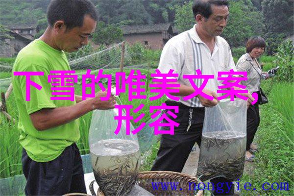 课堂插班一个英语老师的意外冒险