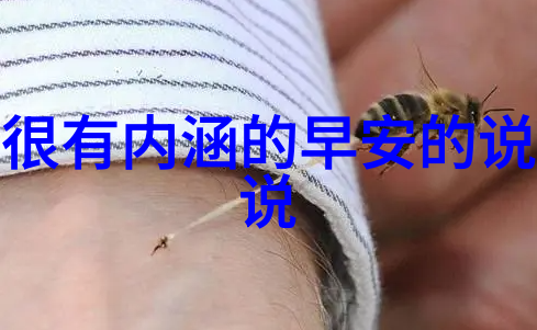 为你逆光而来庆功派对搜狐视频自制剧大家族直播社会欢乐盛会首次亮相先天八卦图片