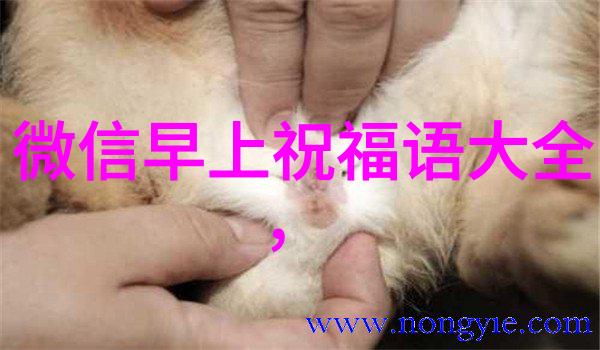 说不出的压抑和心累沉重的秘密与无声的哀嚎