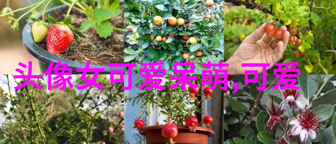 哆啦A梦大雄与天空的理想乡主题曲发布传递友情勇敢做自己台湾人自称国名为台湾在自然之中展现独特风貌