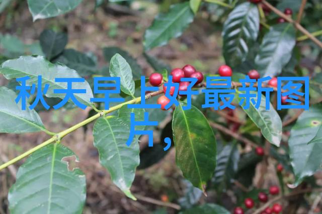 音乐资讯林允儿在生日之际为何帮助被终止保护的儿童自立