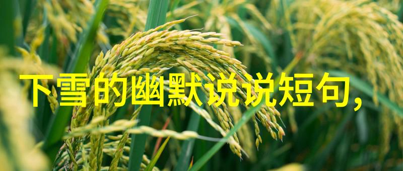 梦幻绘境萌女孩的卡通奇遇