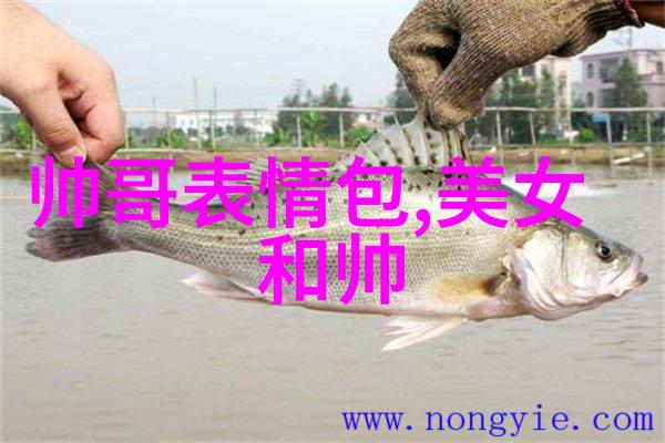 跨大西洋的呼唤美国第十次啦全球和平的新篇章
