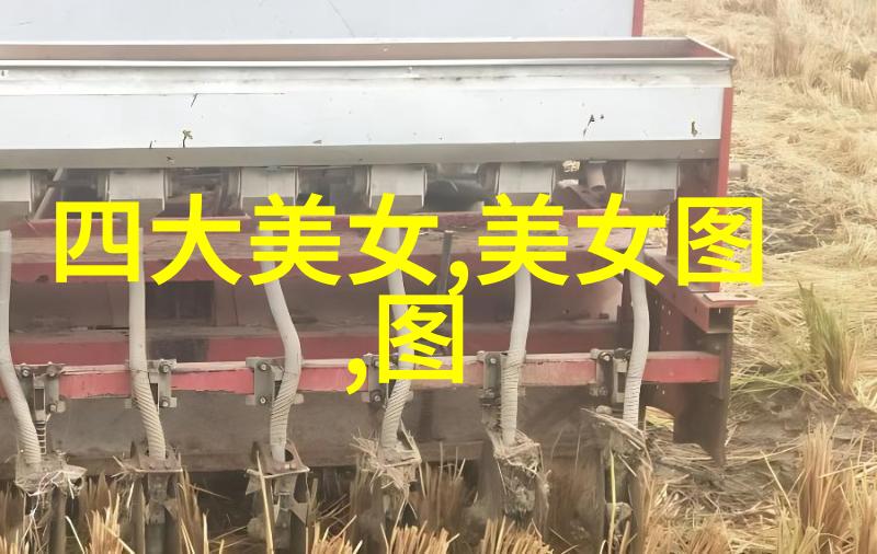 万圣夜的魔力揭秘这一古老节日的由来与习俗