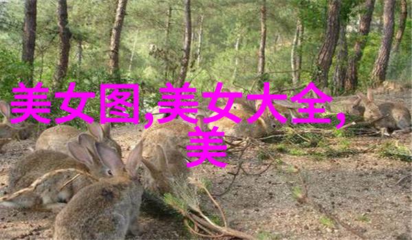 心动的画卷免费漫画全集