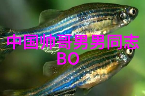 心之美丽在岁月的织梦中绽放