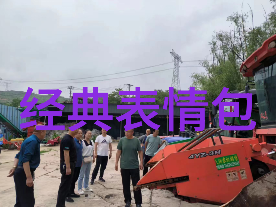 色彩飞扬卡通简笔画的绚烂世界