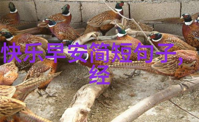 超可爱的手机壁纸我眼中的萌宠世界让你的屏幕也变得可爱至极