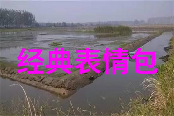 惊悚电影经典之选全球影坛最令人震撼的十部恐怖电影