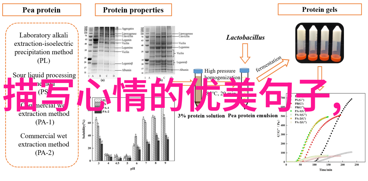 当你听到某首充满魅力的儿童合唱会不会不由自主地微笑起来