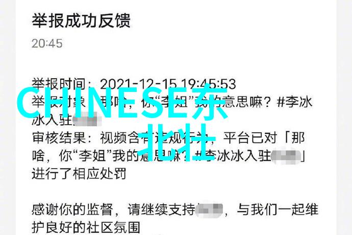 主题我去少数民族村庄过年的那些日子