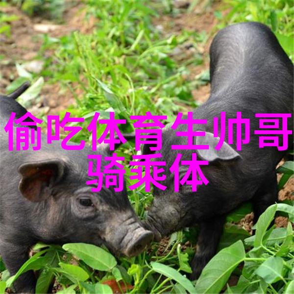 如何选择合适的早安短句发朋友圈