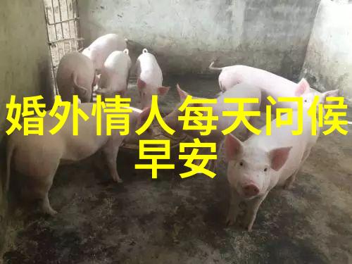 文化探索-揭秘少数民族节日多彩的传统与现代融合