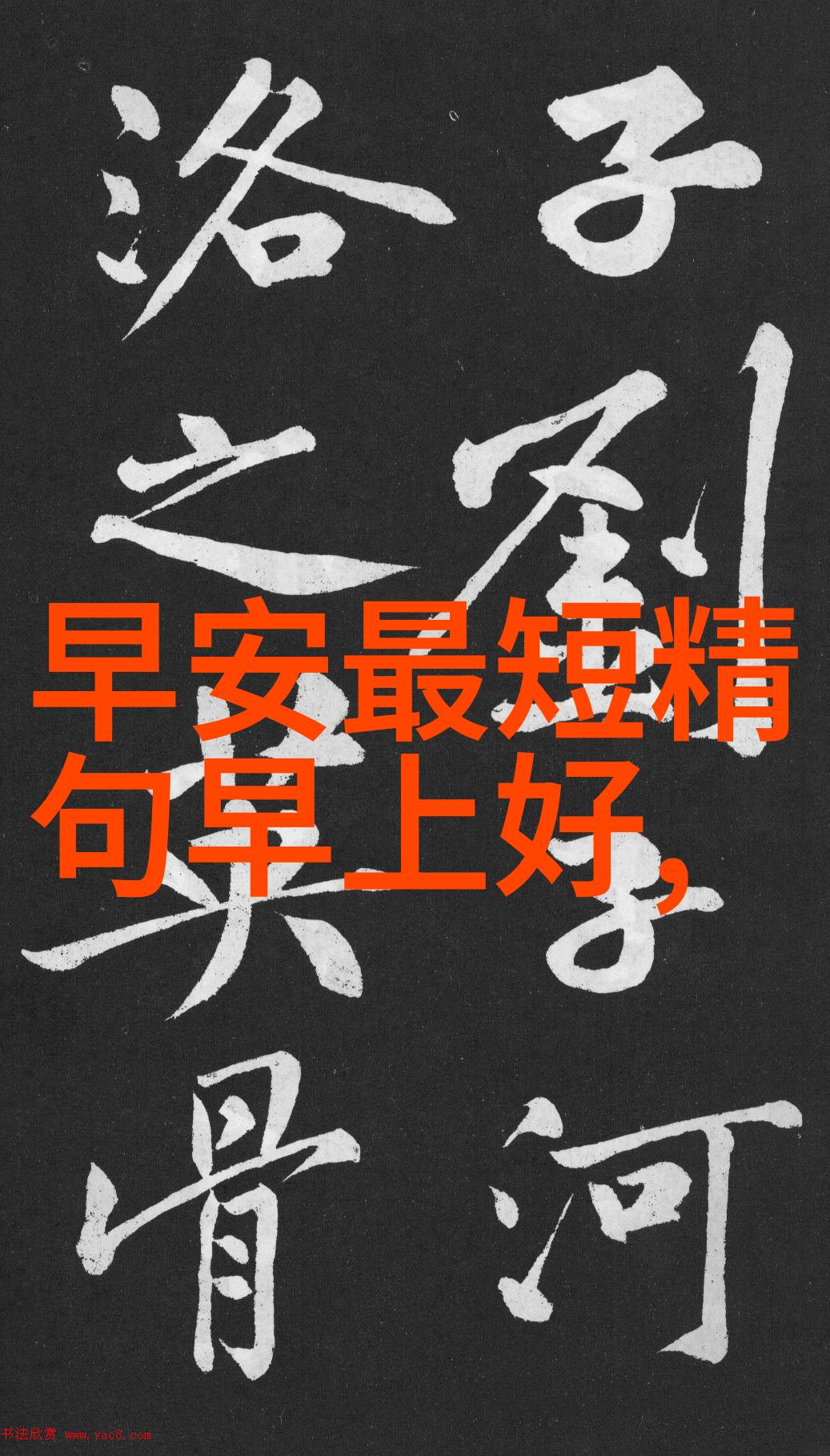 在野生动物世界中帅的意义和影响有哪些实际作用