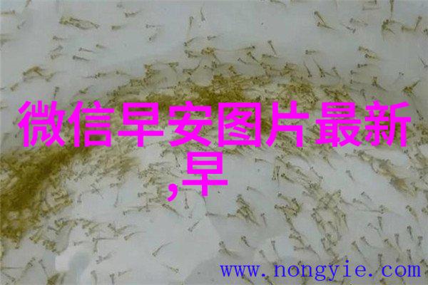 苏乞儿网红因摩托车事件遭广泛批评夜间直播平台排行榜前十名揭秘社会反响