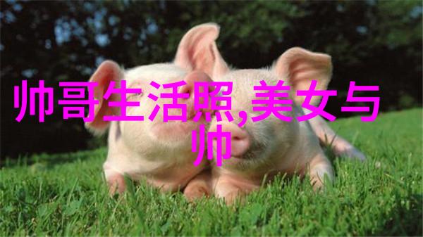 百度云盘登陆-安全登录指南