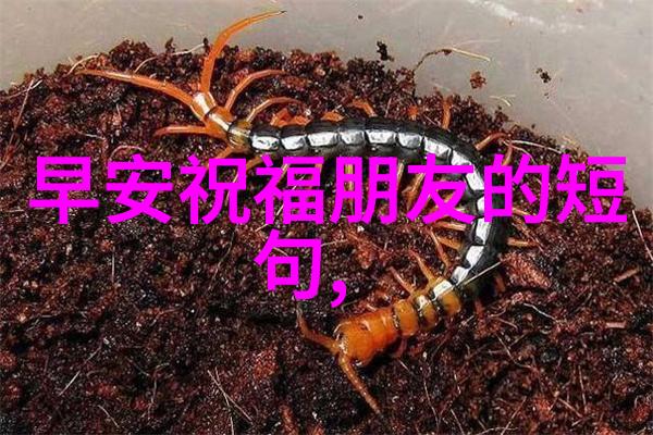 拥抱多样性让我们一起感受温暖的力量