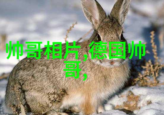 泪痕编织伤感文案短句的哀愁篇章