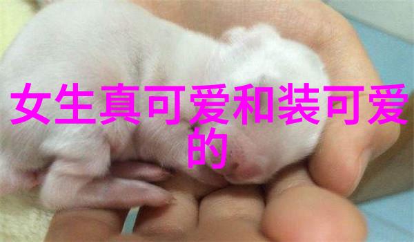 冬日笑语雪花下的趣事儿