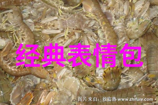 是不是想拥有一个既低调又充满正能量的微信昵称呢这里就给你一份最新的励志网名大全让你的每一次登录都充满
