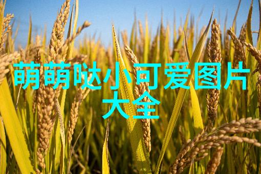 愿往后余生暴富我亦暴瘦这是我人生的真实写照