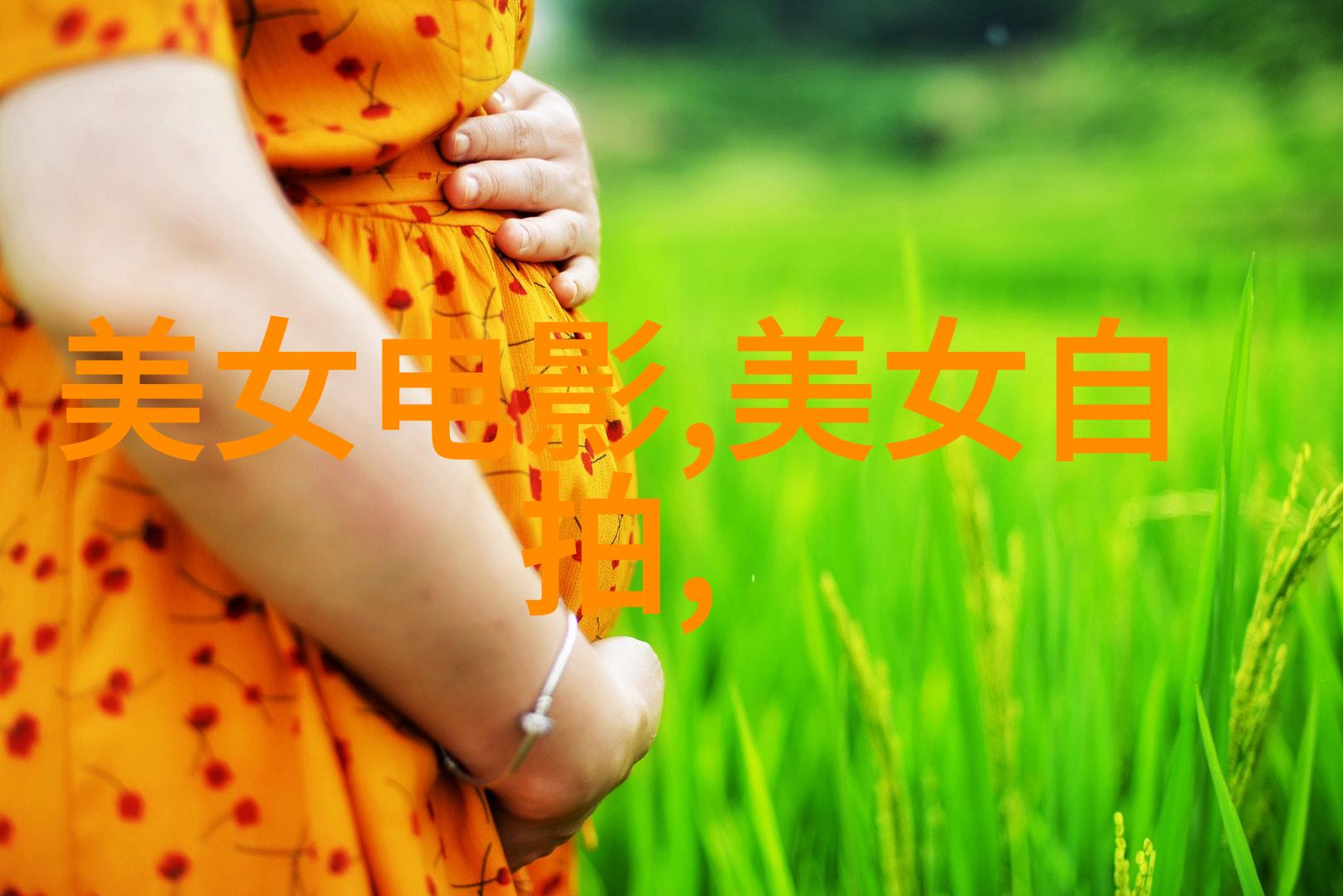 帅哥同志美丽的双重奏鸣
