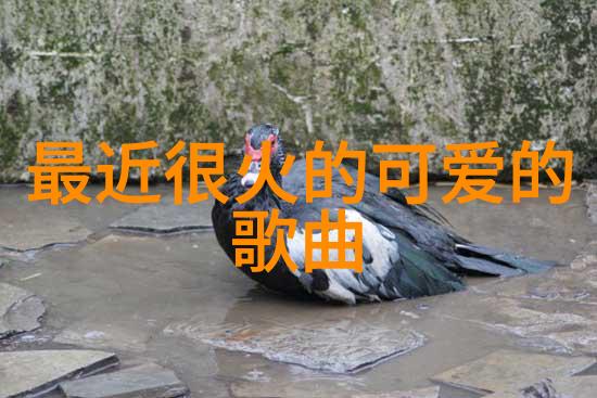 惊悚图片-十大吓死人图片当恐惧在每一帧中跳动