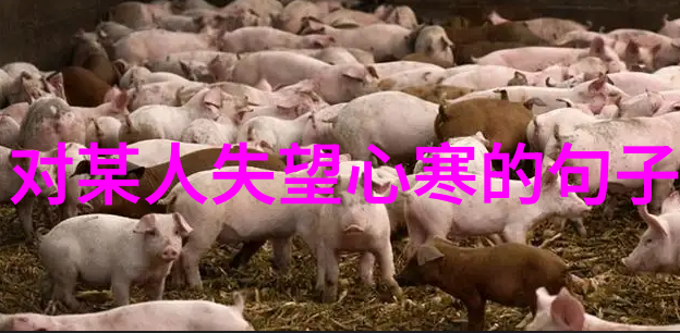 彩绘梦想动漫女孩的美丽肖像