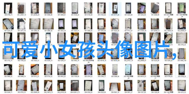 蒙娜丽莎背后的秘密解锁达芬奇画作中的神秘鬼影