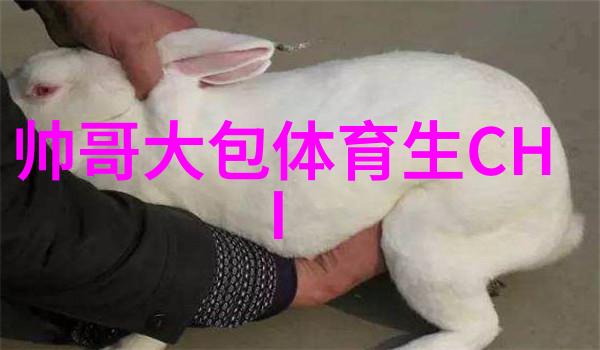 激励人心的经典语录个性签名传递哲理意境