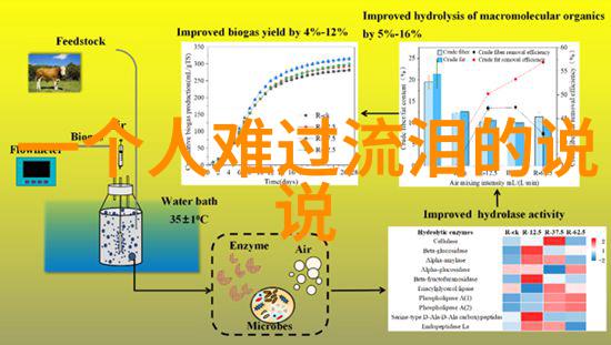 寻踪稀世珍字揭秘文字间的隐喻之美