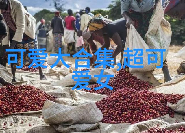 中国的节日我国的传统盛事从端午到春节岁月里的欢歌笑语