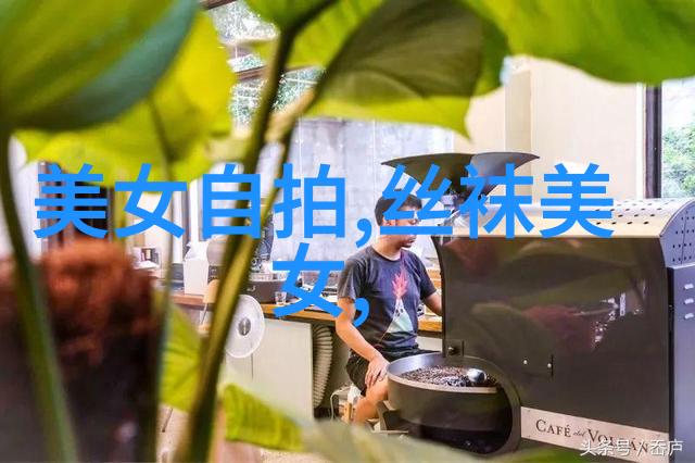 每天早上的微信问候温馨语句与日常生活的融合
