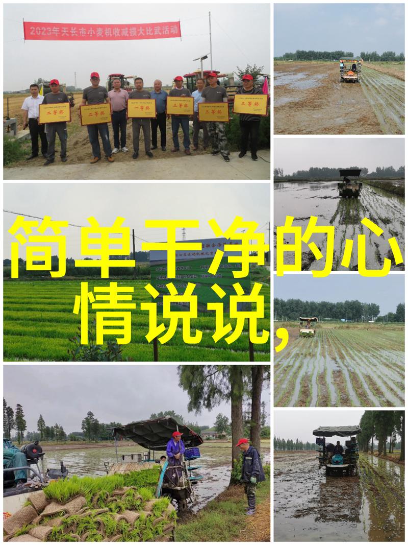 很甜很撩的网名女生权威推荐