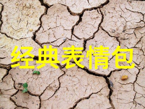 抖音时代的网络文化现象探究下雪超级火的语境与影响