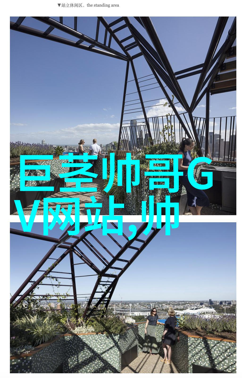 明星梦想的起点我是如何成为大明星的