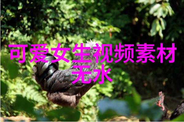 早晨阳光下的温馨问候