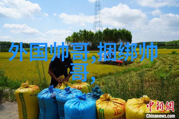 QQ聊天群二维码生成器快速创建和管理社交群组
