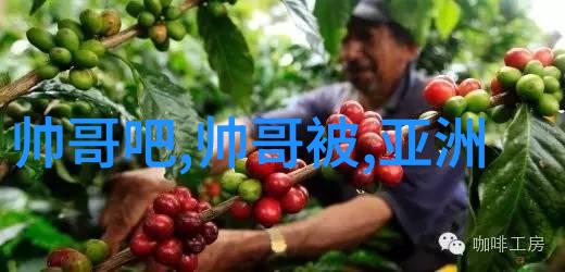 卡通-猪猪侠的冒险世界探索卡通猪的魅力