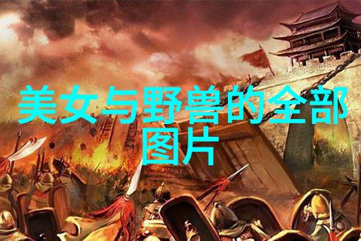 武打明星-影视格斗之巅武打明星的光芒与挑战