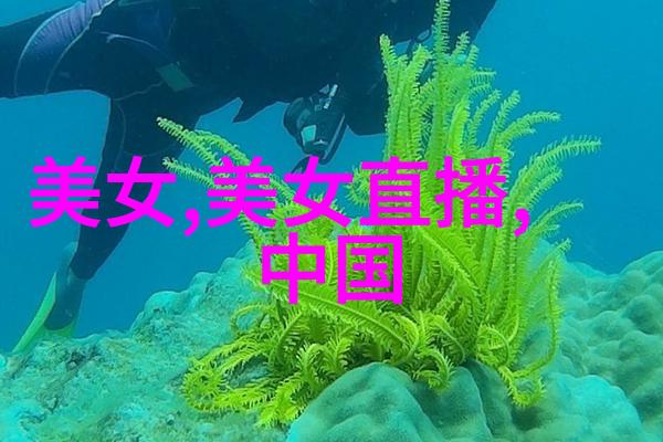 数据隐私保护免费聊天软件如何保证用户信息安全