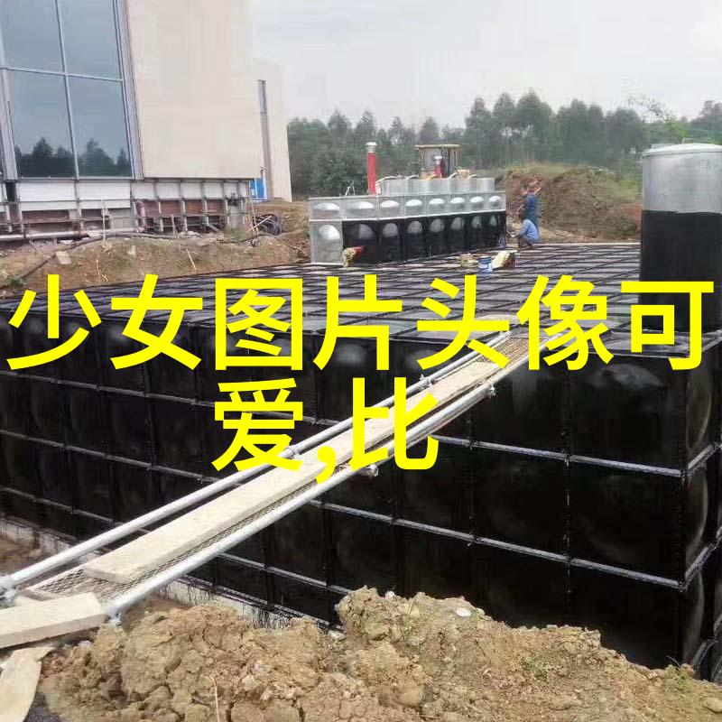探秘数字货币的未来区块链技术如何重塑金融世界